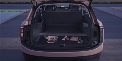 52b8399d-5dc8-4a83-a78b-0995d994749e_639173840909836164.jpg